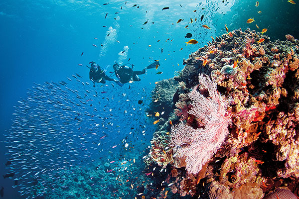 The Great Barrier Reef, Australia